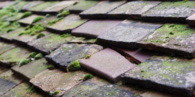 Great Bardfield roof repair costs